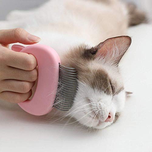 Lolly Tin Cat Comb Cleaning Brush for Deshedding Shedding Groomin...