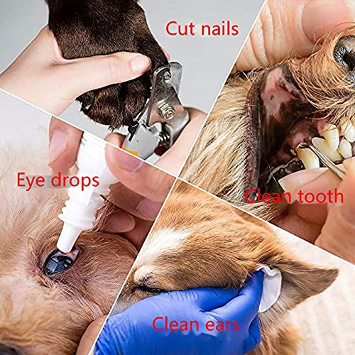 sunfedmiss Dog Grooming Hammock with 2pcs Hook, Dog Nail Cutting ...