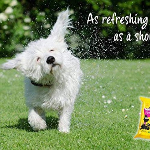 Woosh Pet Wipes Hypoallergenic, Non-Toxic for Dogs or Cats, with ...