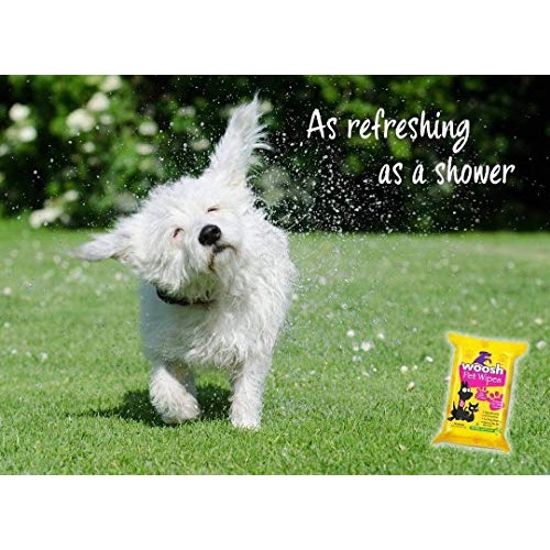 Woosh Pet Wipes Hypoallergenic, Non-Toxic for Dogs or Cats, with ...