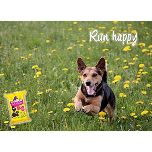 Woosh Pet Wipes Hypoallergenic, Non-Toxic for Dogs or Cats, with ...