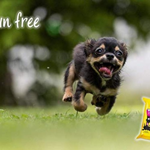 Woosh Pet Wipes Hypoallergenic, Non-Toxic for Dogs or Cats, with ...