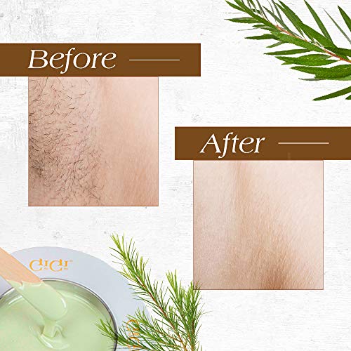 GiGi Tea Tree Creme Hair Removal Soft Wax with Soothing Formula, ...