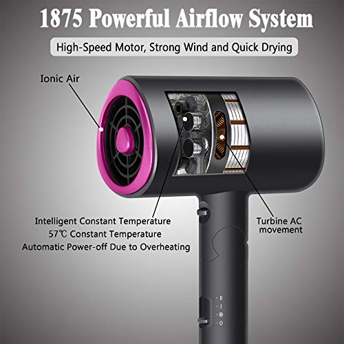 Ionic Hair Dryer with Diffuser,Lightweight Blow Dryer for Travel,...