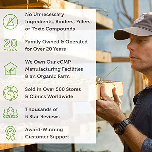 Global Healing Plant-Based Kidney Health - Organic Detox Cleanse ...