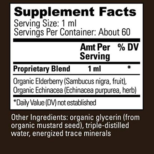 Global Healing USDA Organic Elderberry & Echinacea Liquid Supplem...