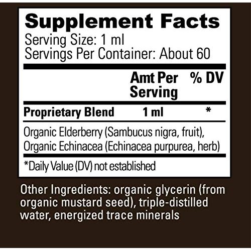 Global Healing USDA Organic Elderberry & Echinacea Liquid Supplem...