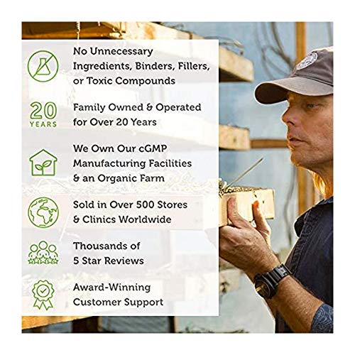 Global Healing USDA Organic Elderberry & Echinacea Liquid Supplem...