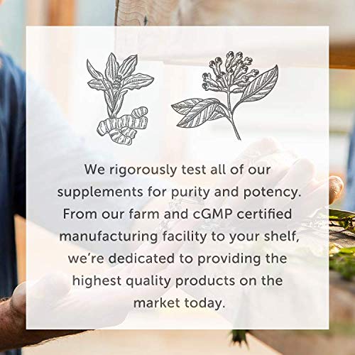 Global Healing USDA Organic Elderberry & Echinacea Liquid Supplem...