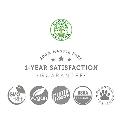 Global Healing USDA Organic Elderberry & Echinacea Liquid Supplem...