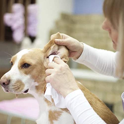 Glumes Pet Ear Cleaner, Ear Powder Quick Heals Pet Ear Infections...