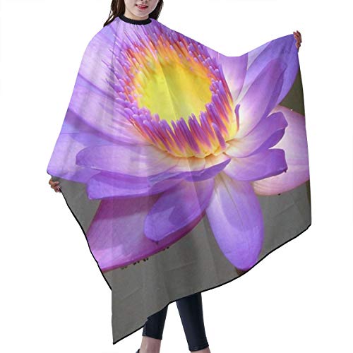 Lotus Flower Purple Salon Hair Cut Hairdressing Hairdresser Water...