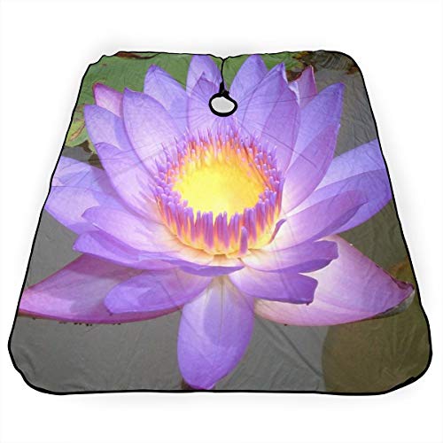 Lotus Flower Purple Salon Hair Cut Hairdressing Hairdresser Water...