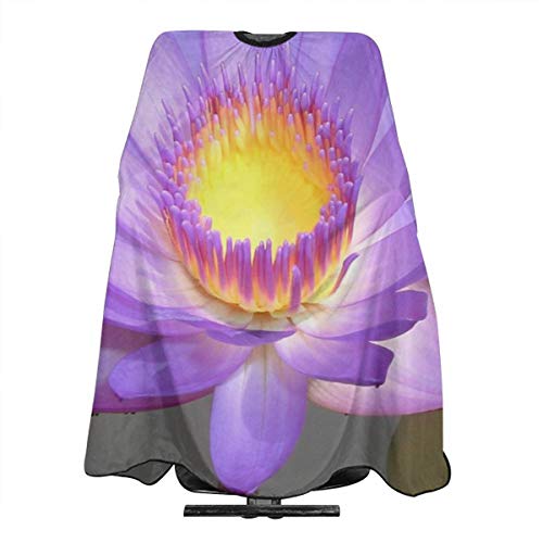 Lotus Flower Purple Salon Hair Cut Hairdressing Hairdresser Water...