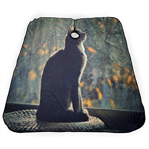 Window Night Profile Cat Salon Hair Cut Hairdressing Hairdresser ...