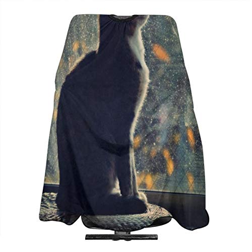 Window Night Profile Cat Salon Hair Cut Hairdressing Hairdresser ...