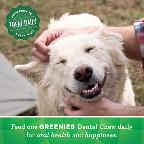 GREENIES Original Large Natural Dog Dental Care Chews Oral Health...