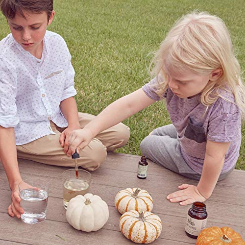 Gryph and IvyRose Forceshield Immune System Support for Kids - As...