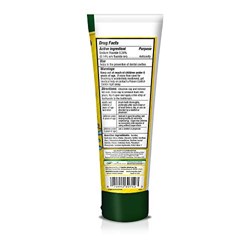 GUM - 4051R Crayola Anti-Cavity Fluoride Kids Toothpaste, Fruit E...