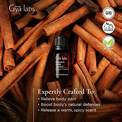 Gya Labs Cinnamon Cassia Essential Oil for Pain Relief - Cinnamon...