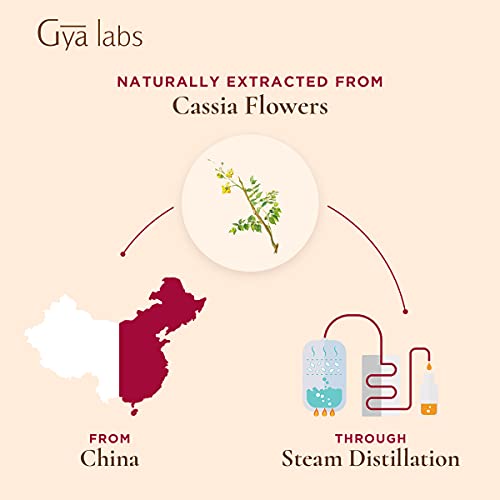 Gya Labs Cinnamon Cassia Essential Oil for Pain Relief - Cinnamon...