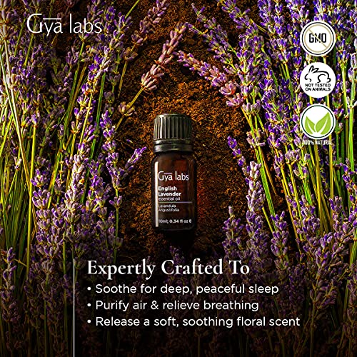 Gya Labs English Lavender Essential Oil for Sleep and Stress Reli...