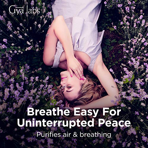 Gya Labs English Lavender Essential Oil for Sleep and Stress Reli...