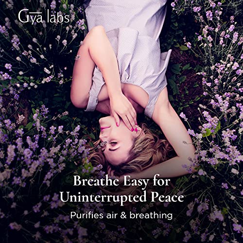 Gya Labs English Lavender Essential Oil for Sleep and Stress Reli...