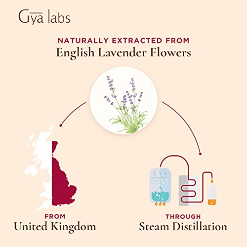 Gya Labs English Lavender Essential Oil for Sleep and Stress Reli...