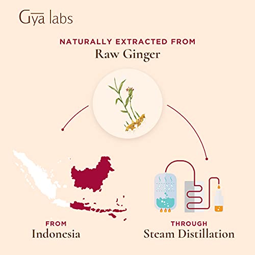 Gya Labs Ginger Essential Oil for Lymphatic Drainage Massage, Swe...