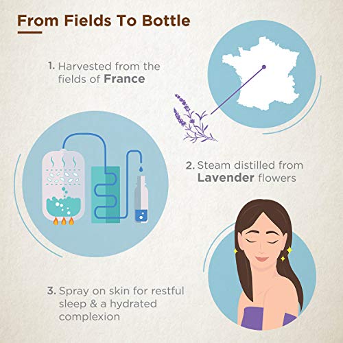 Gya Labs Lavender Spray for Sleep and Skin Care - Face Mist Spray...