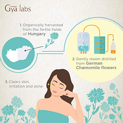 Gya Labs Organic German Chamomile Essential Oil - Breakouts Treat...