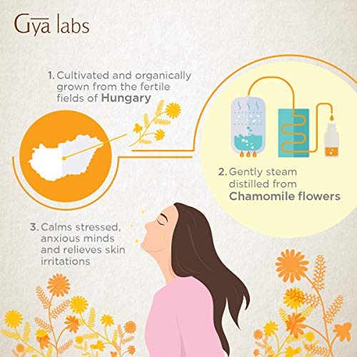 Gya Labs Organic Roman Chamomile Essential Oil - Great for Stress...