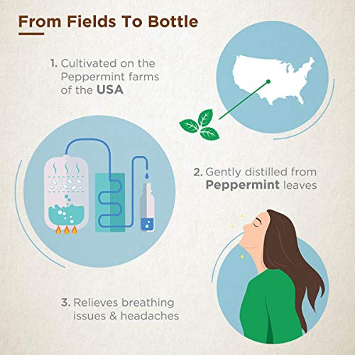 Gya Labs Peppermint Spray for Stress Relief, Headache Relief and ...