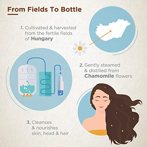 Gya Labs Roman Chamomile Hydrosol for Skin Care and Hair Care - C...