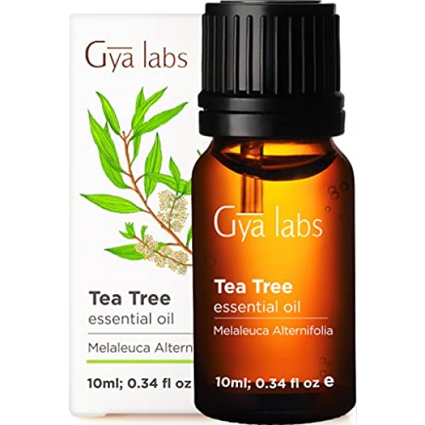 Gya Labs Tea Tree Essential Oil for Skin Care and Hair Care - Top...