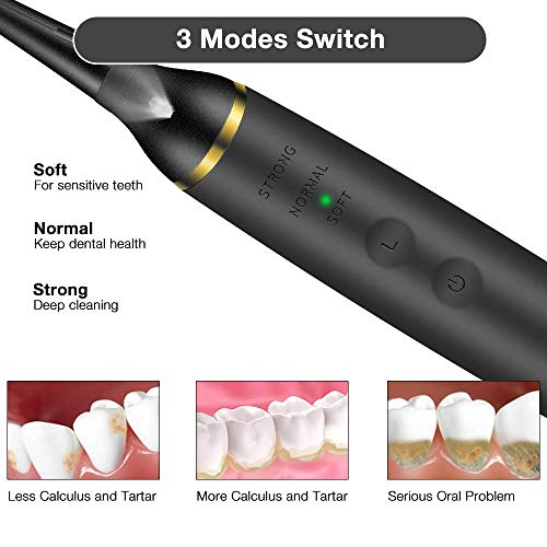 Electric Dental Calculus Remover with LED, HailiCare Tooth Tartar...
