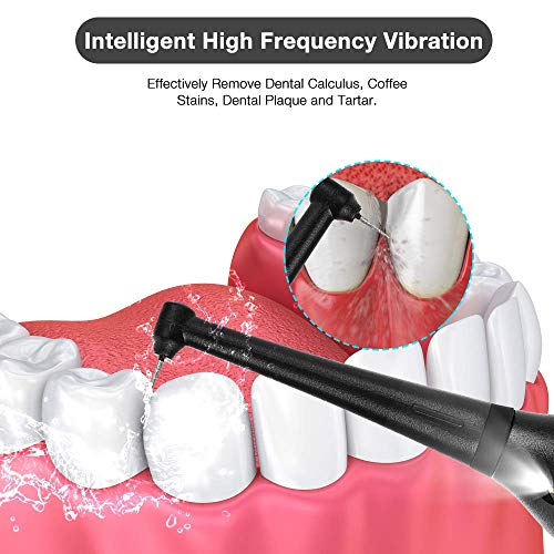 Electric Dental Calculus Remover with LED, HailiCare Tooth Tartar...