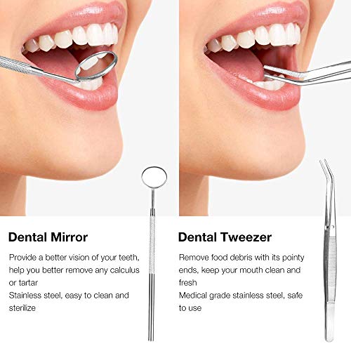 Electric Dental Calculus Remover with LED, HailiCare Tooth Tartar...