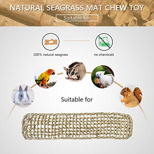 Bird Seagrass Mat,Natural Grass Woven Net Hammock Hanging on Parr...