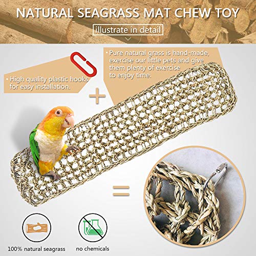 Bird Seagrass Mat,Natural Grass Woven Net Hammock Hanging on Parr...