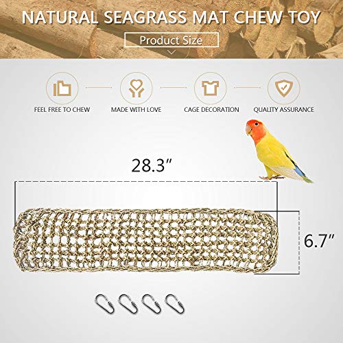 Bird Seagrass Mat,Natural Grass Woven Net Hammock Hanging on Parr...