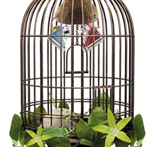 Bird Training Toys Coco Shell with Mini Sneaker Ring Chew Toy, Pa...