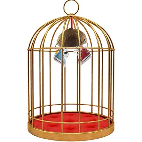 Bird Training Toys Coco Shell with Mini Sneaker Ring Chew Toy, Pa...