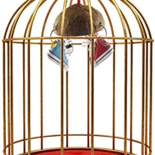 Bird Training Toys Coco Shell with Mini Sneaker Ring Chew Toy, Pa...