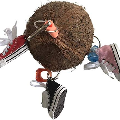 Bird Training Toys Coco Shell with Mini Sneaker Ring Chew Toy, Pa...