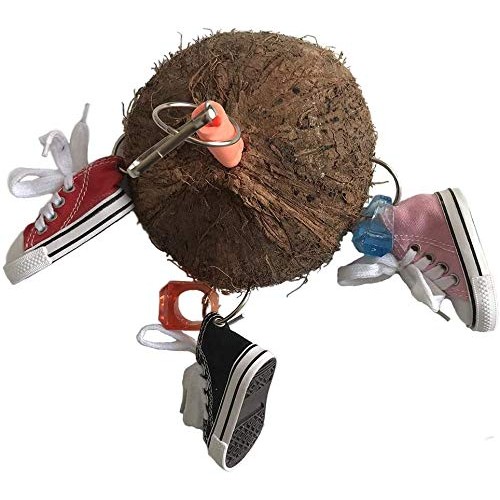 Bird Training Toys Coco Shell with Mini Sneaker Ring Chew Toy, Pa...