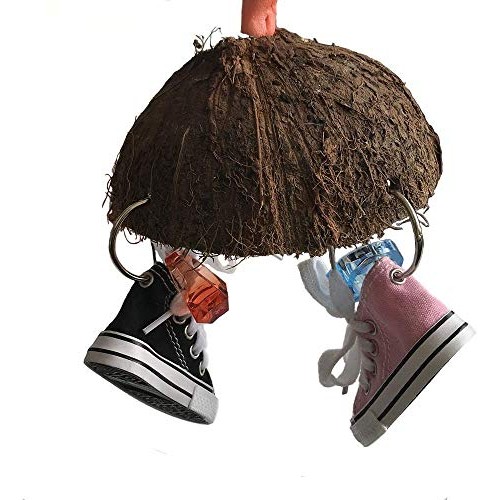Bird Training Toys Coco Shell with Mini Sneaker Ring Chew Toy, Pa...