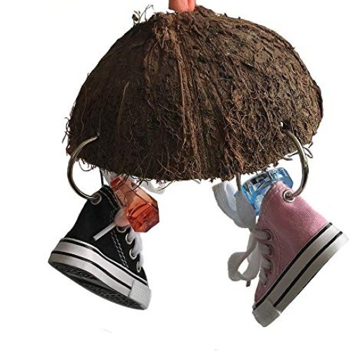 Bird Training Toys Coco Shell with Mini Sneaker Ring Chew Toy, Pa...