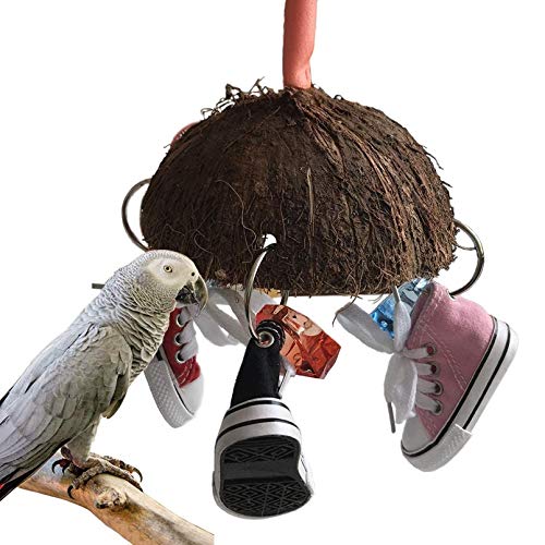 Bird Training Toys Coco Shell with Mini Sneaker Ring Chew Toy, Pa...